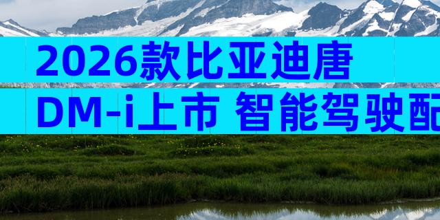 2026款比亚迪唐DM-i上市 智能驾驶配置升级值得入手吗